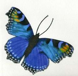 Blue Butterfly Luxury Greeting Card