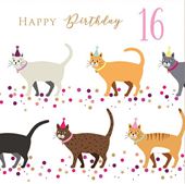Cats 16th Birthday Card