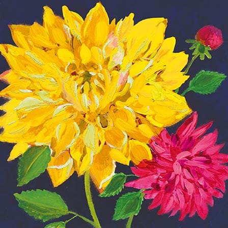 Rajasthan Dahlia's Greeting Card