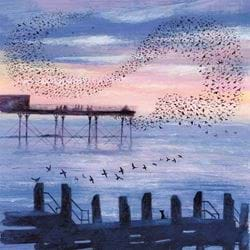 Murmurations Greeting Card