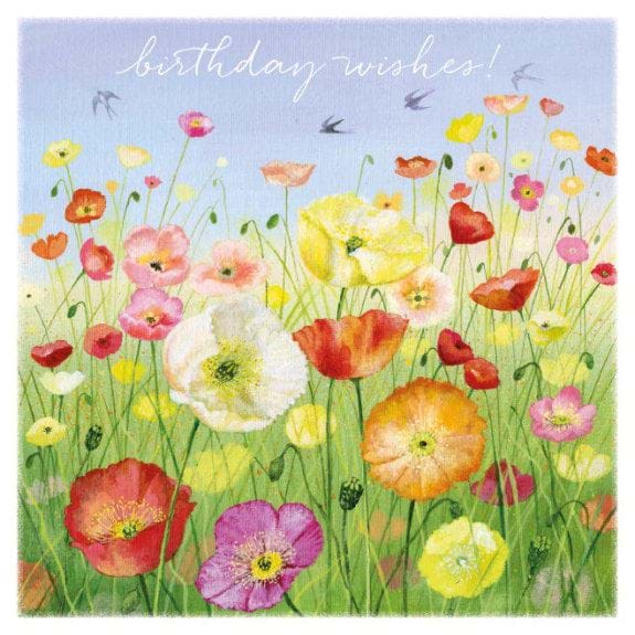 Icelandic Poppies Birthday Card