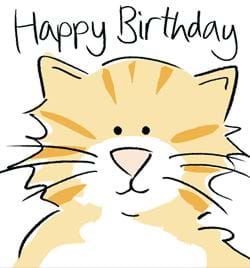 Happy Cat Birthday Card