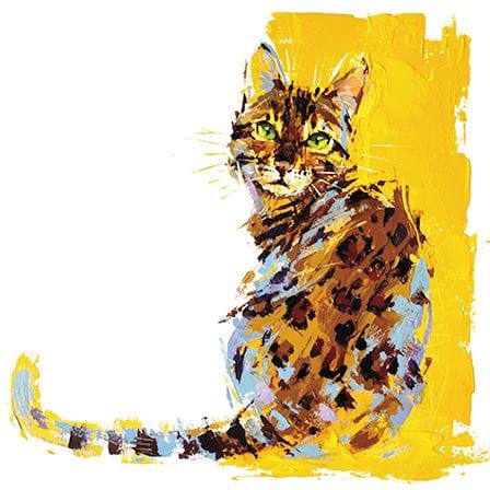 Tabby Cat Greeting Card