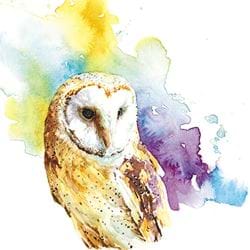 The Owl Greeting Card