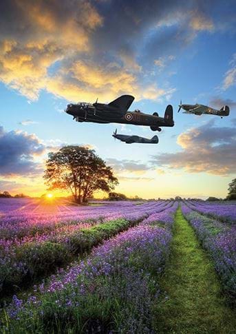 Planes Over Lavender Fields Birthday Card