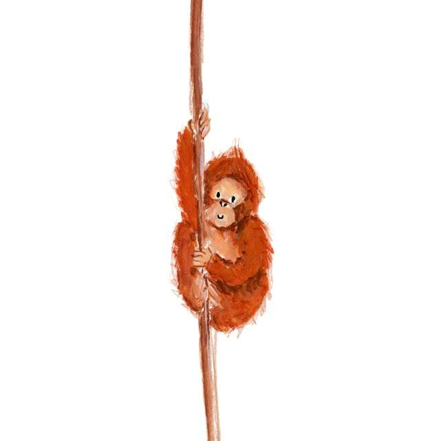 Baby Orangutan Greeting Card