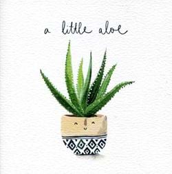 A Little Aloe Greeting Card
