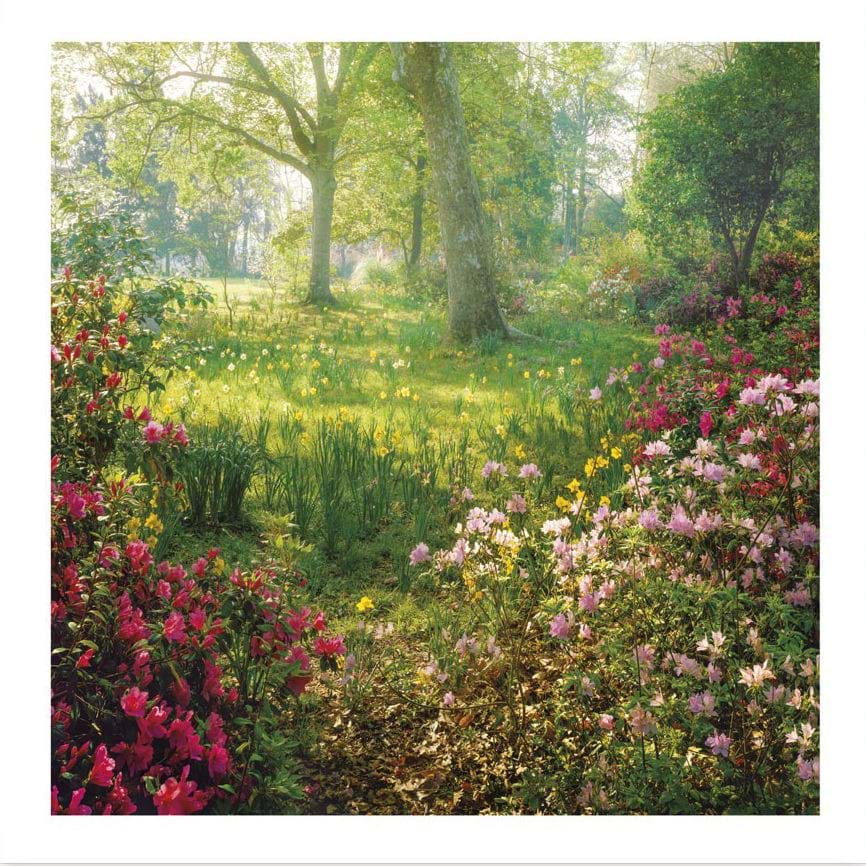 Floral View Greeting Card