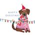 Dog Christmas Cards - Pack of 8