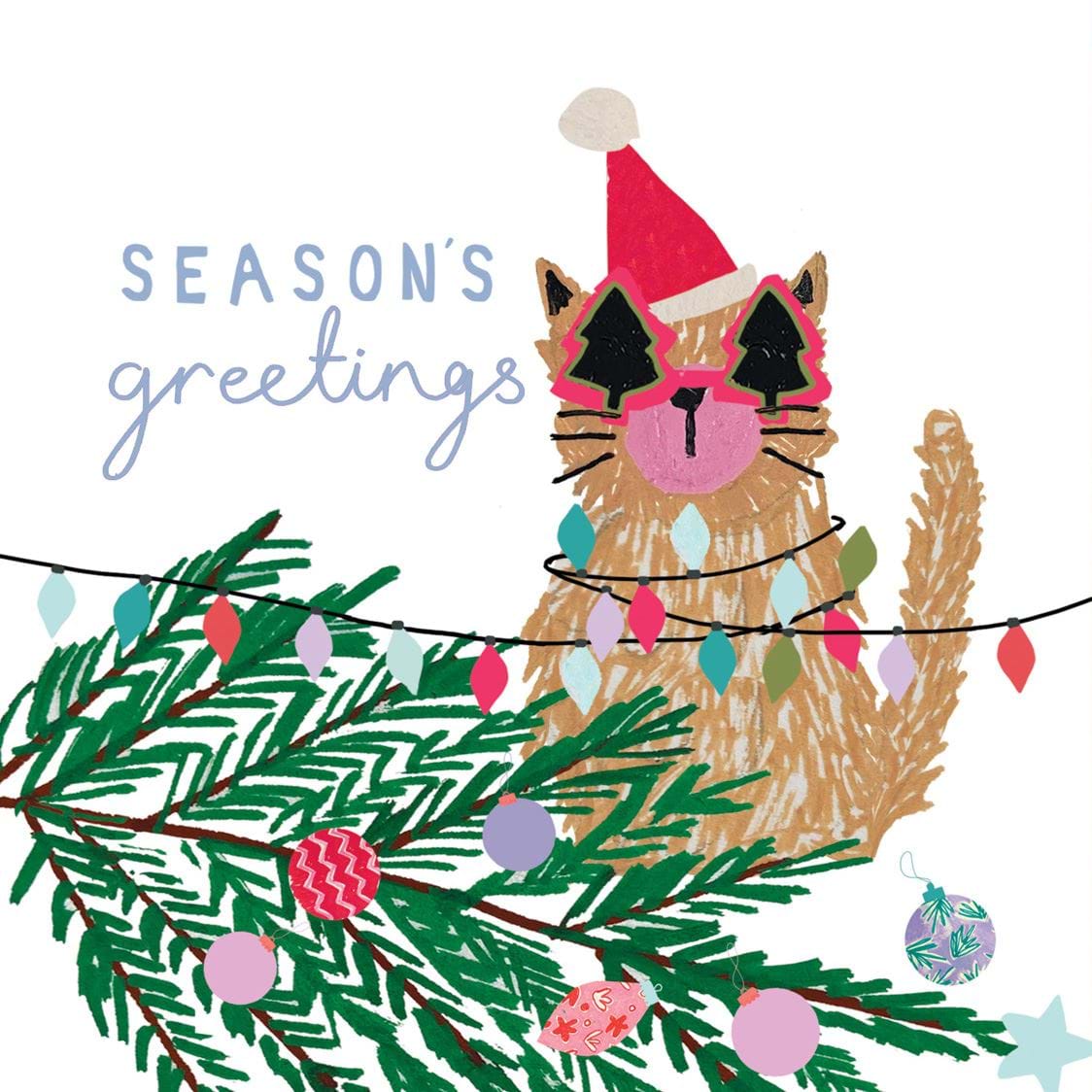 Cat Christmas Cards - Pack of 8