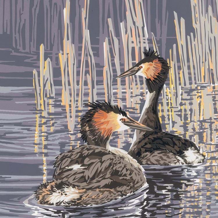 Great Crested Grebes Greeting Card
