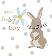 Bunny New Baby Boy Card
