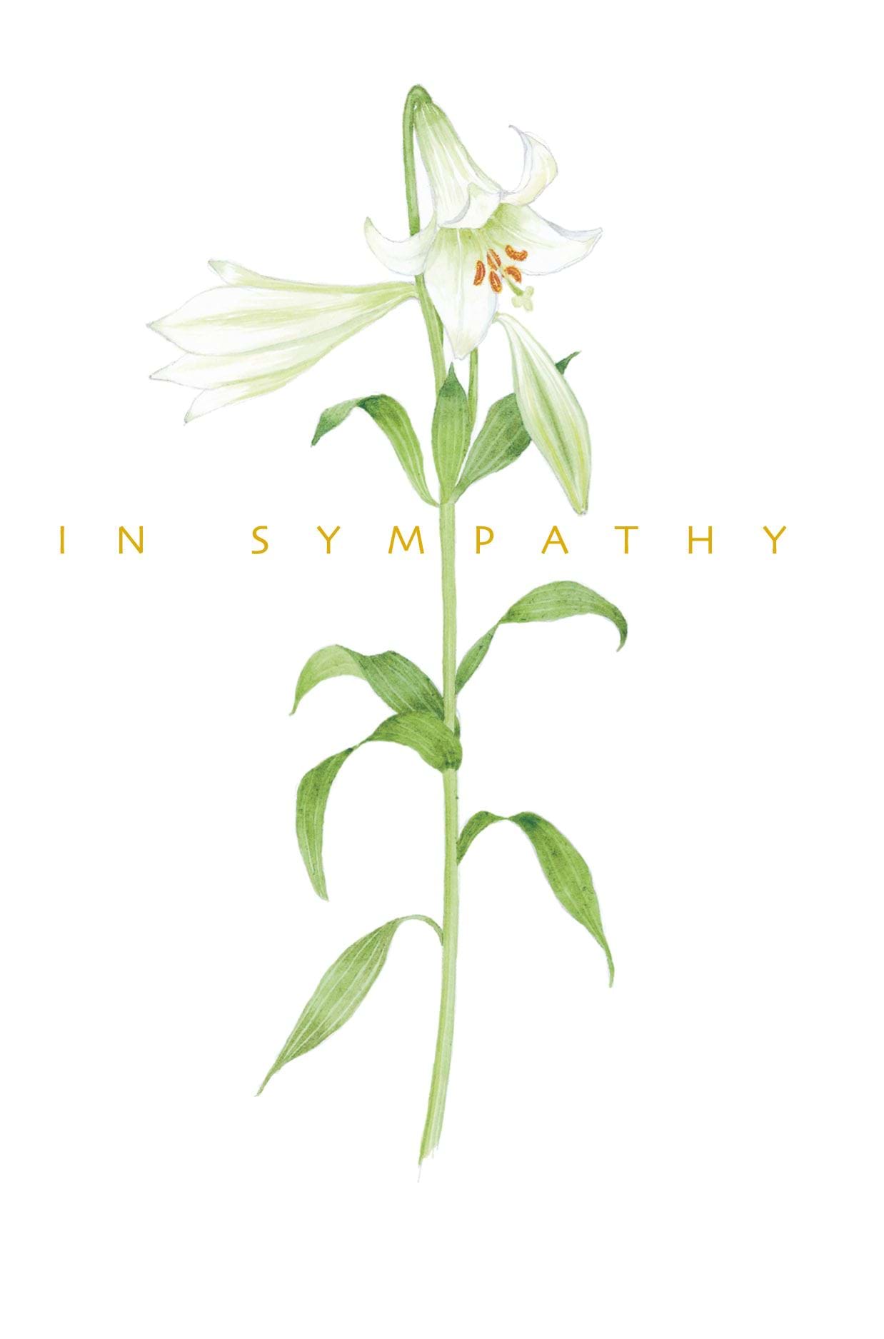 Lily Sympathy Card