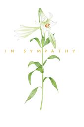 Lily Sympathy Card