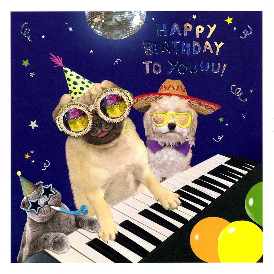 Piano Pets Birthday Card