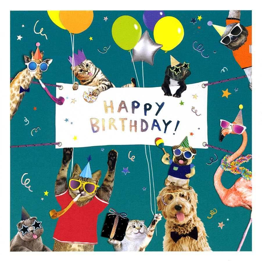 Party Animals Birthday Card