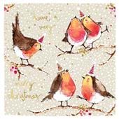 Robins Christmas Card