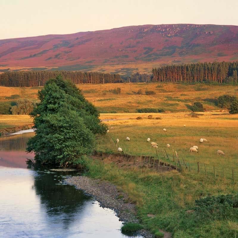 River Coquet and the Simonside Hills Greeting Card
