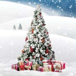 Snow Covered Christmas Tree - Personalised Christmas Card