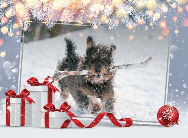 Christmas Presents - Front Personalised Christmas Card