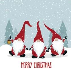 Christmas Gnomes - Personalised Christmas Card