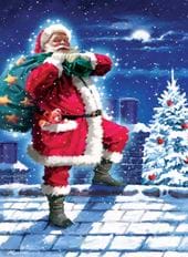 Santa on the Roof - Personalised Christmas Card