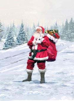 Santa - Personalised Christmas Card