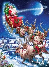 Santa's Sleigh Team - Personalised Christmas Card