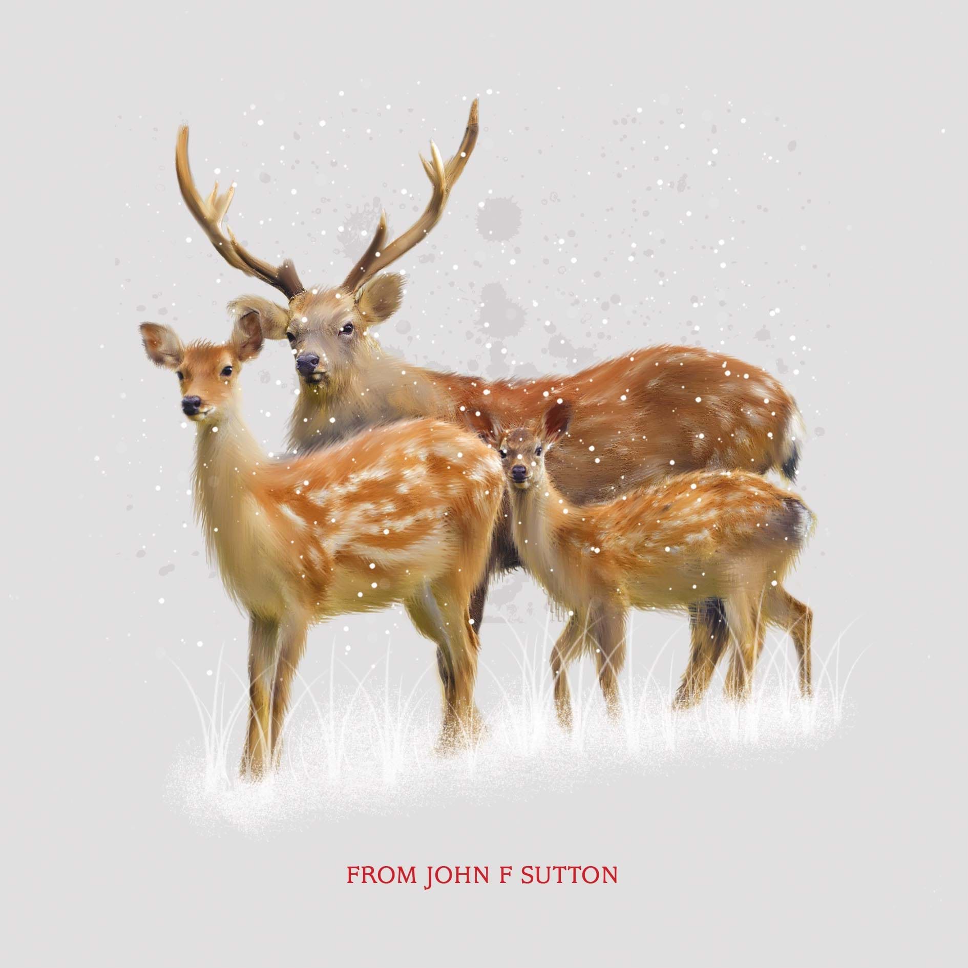 Deer Family - Front Personalised Christmas Card