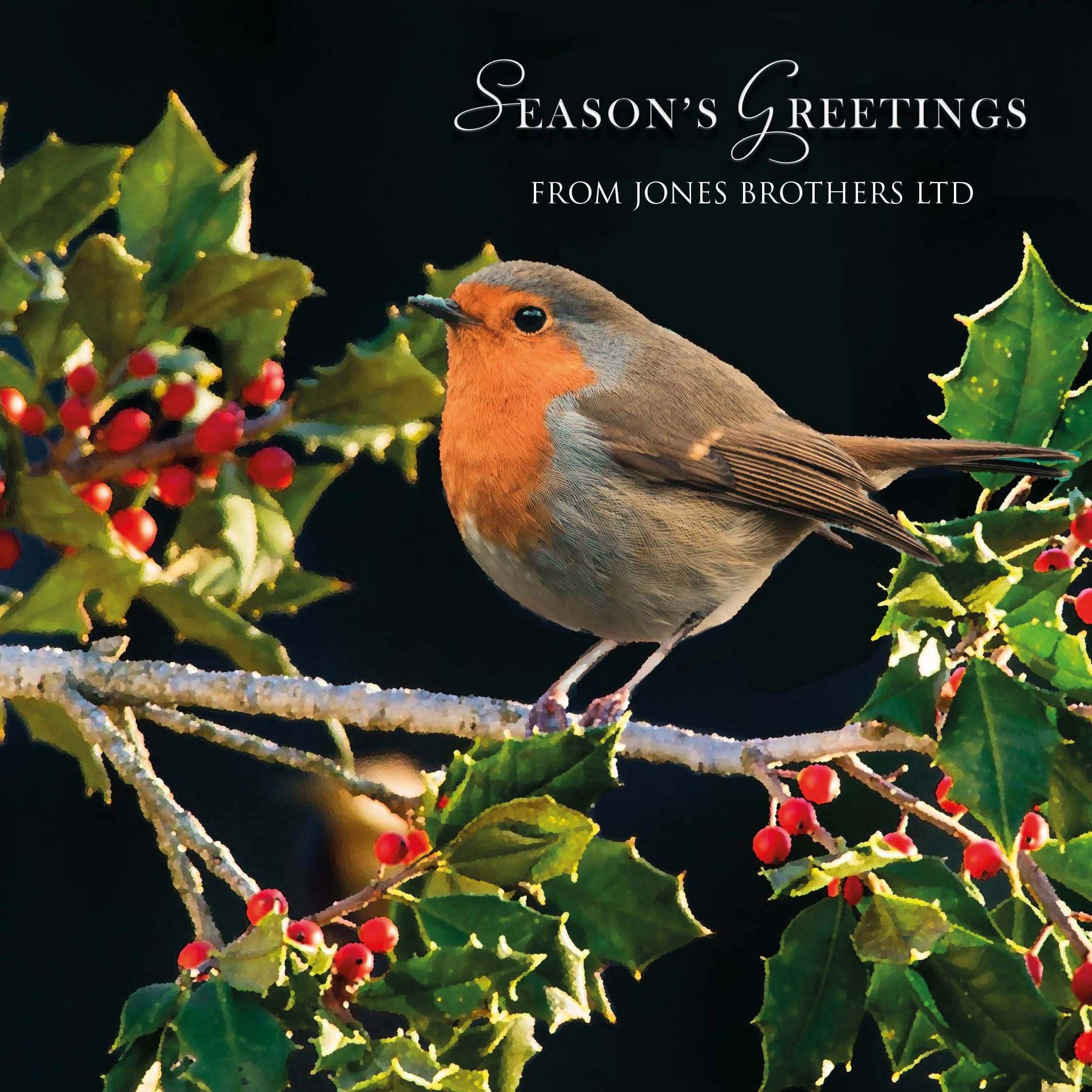 Robin in the Hedgerow - Front Personalised Christmas Card