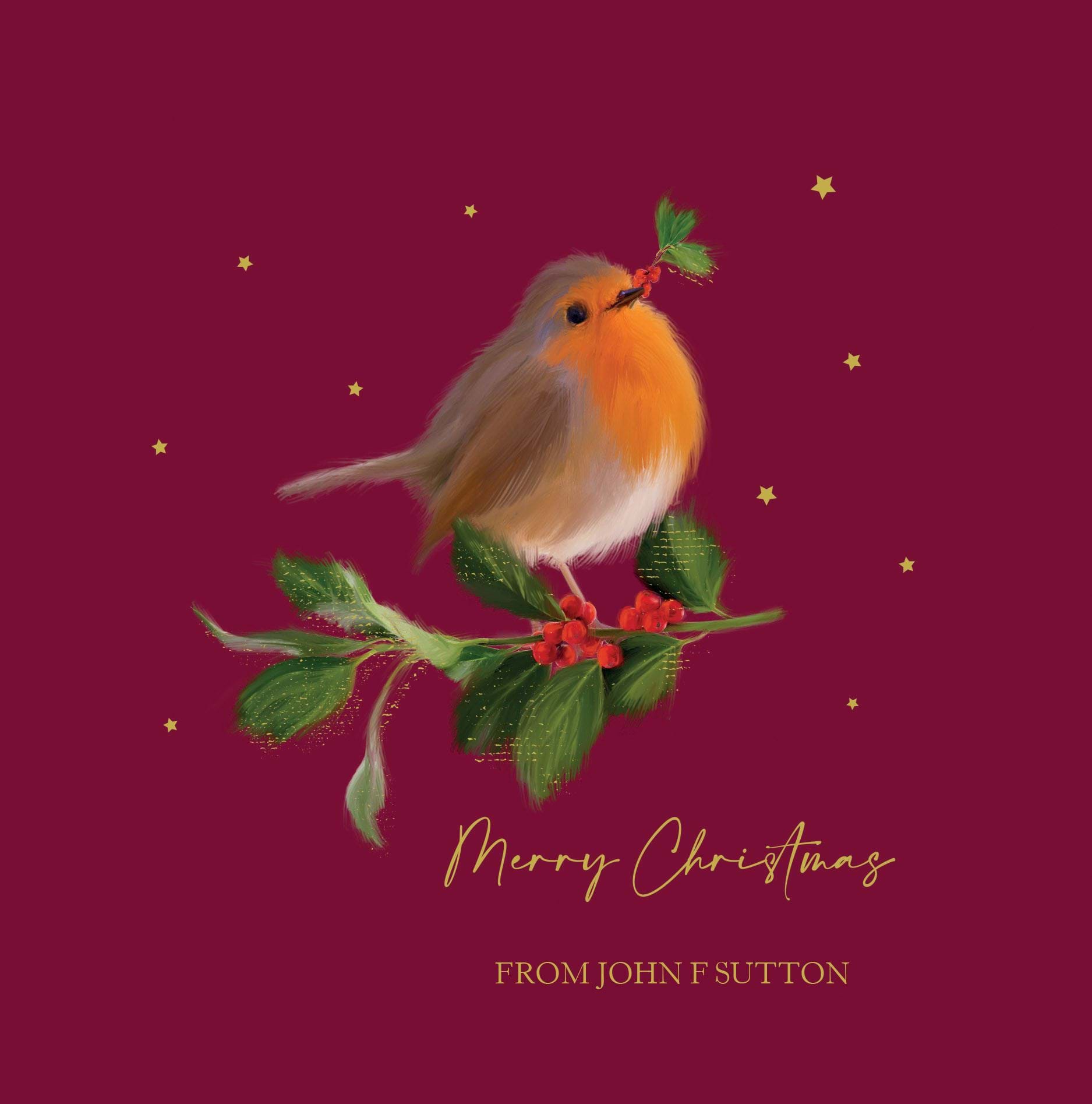 Friendly Robin - Front Personalised Christmas Card