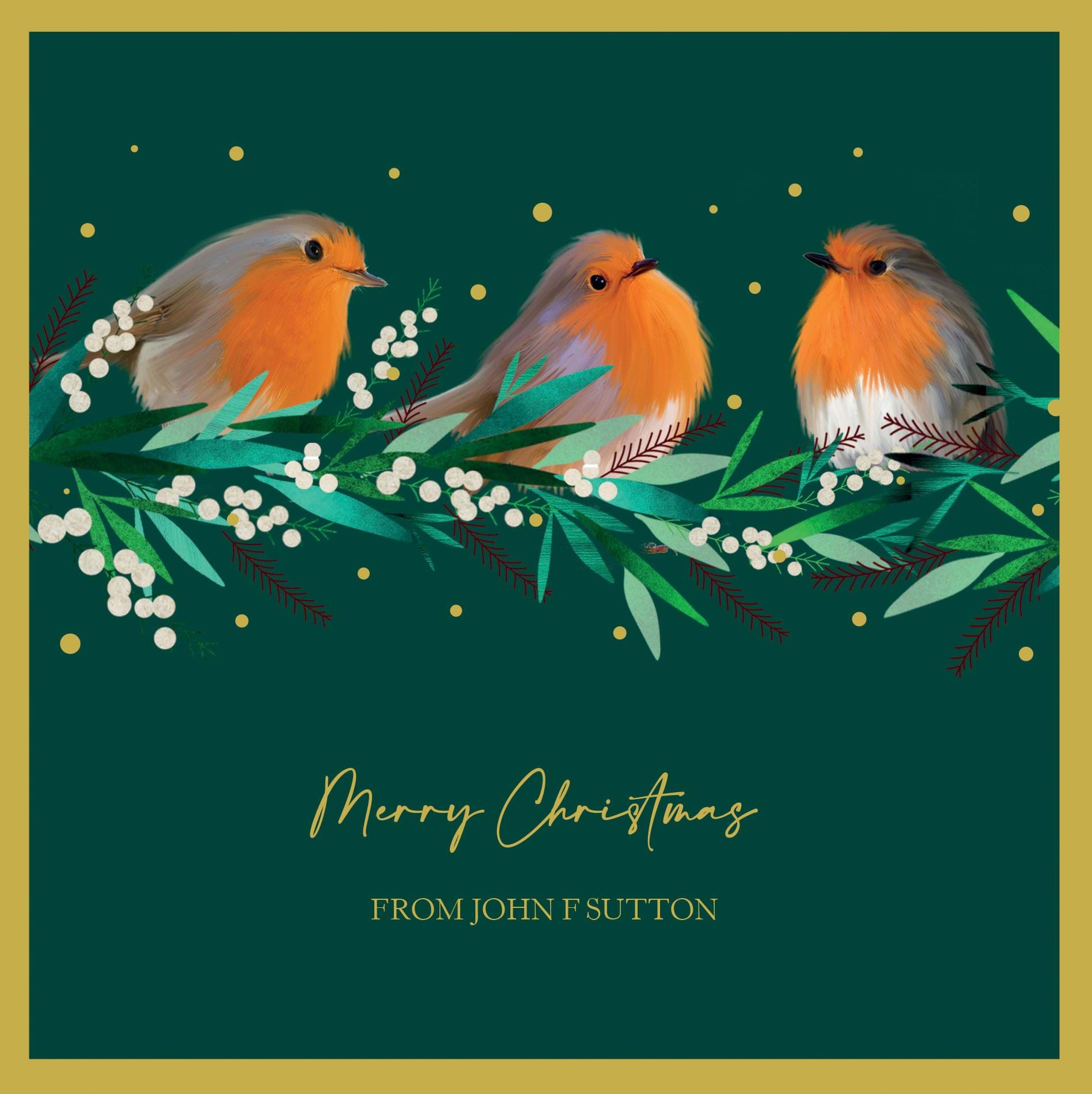 Robins and Holly - Front Personalised Christmas Card