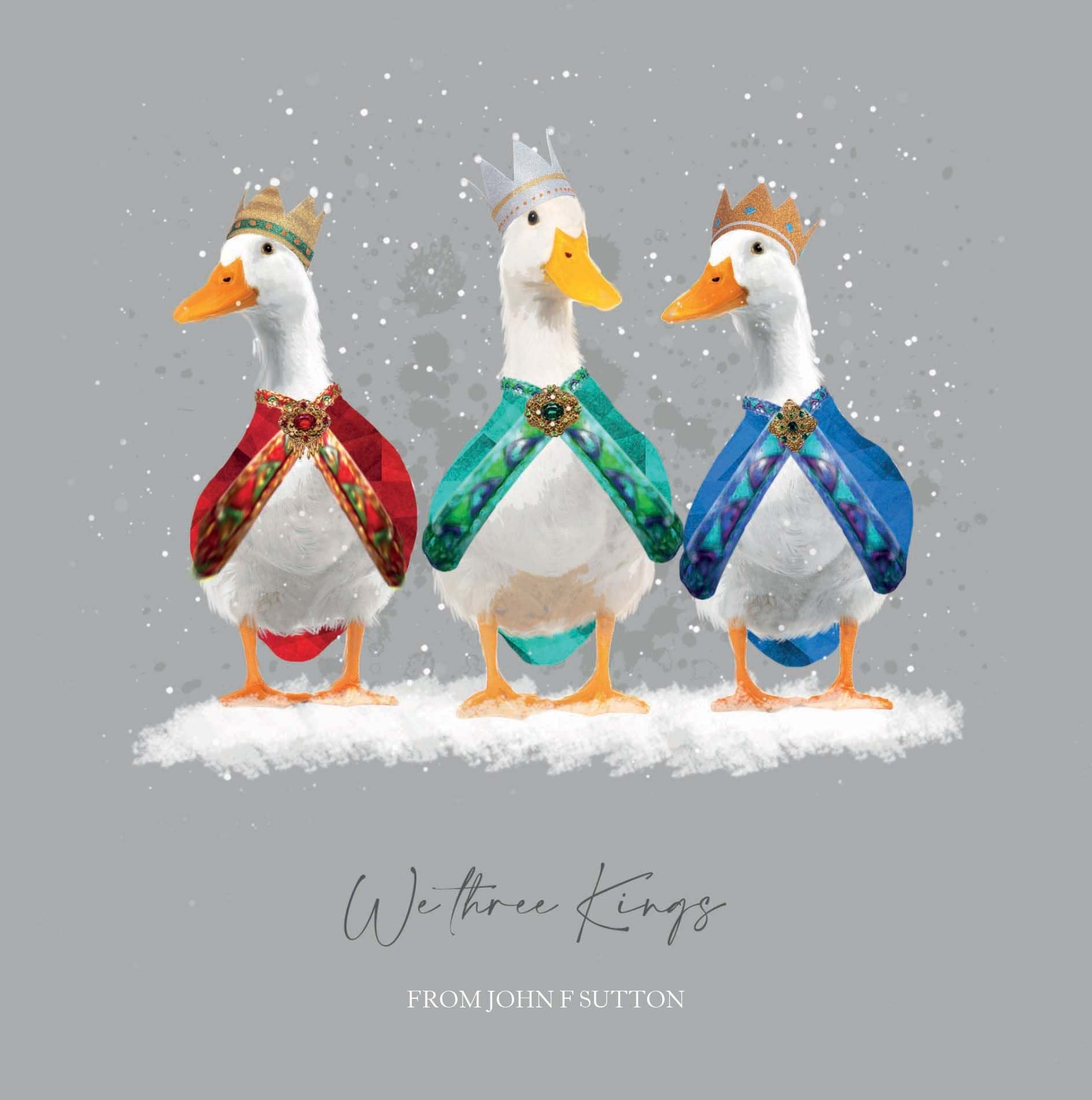 Three Kings Ducks - Front Personalised Christmas Card