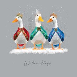 Three Kings Ducks Christmas Card