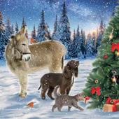 Donkey and Friends - Personalised Christmas Card