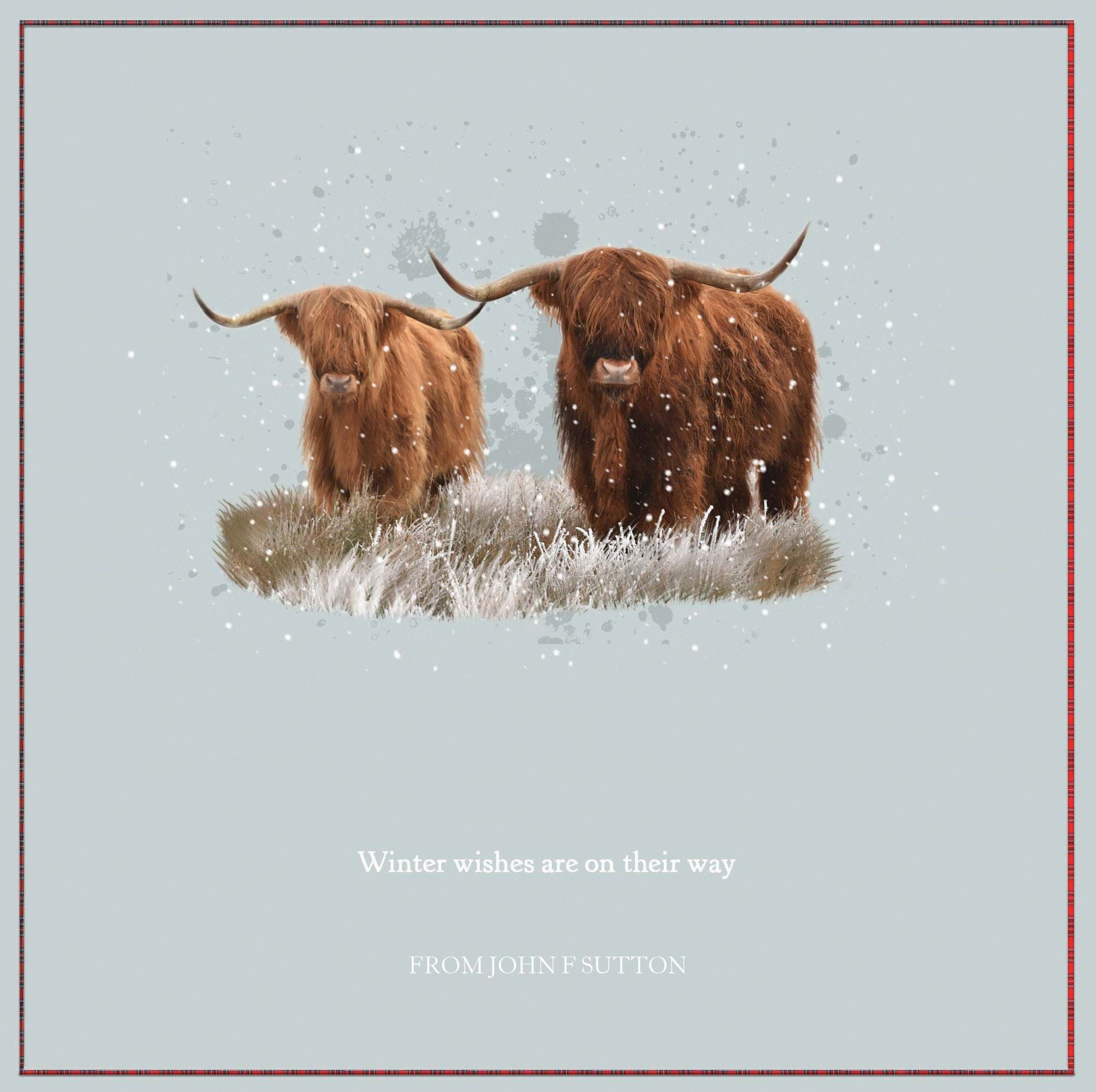 Highland Cows - Front Personalised Christmas Card