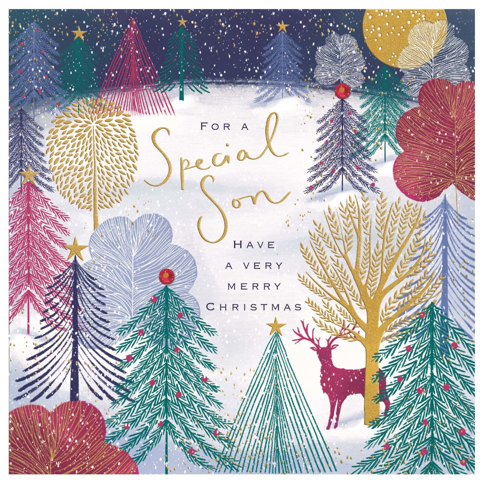 Woodland Son Christmas Card