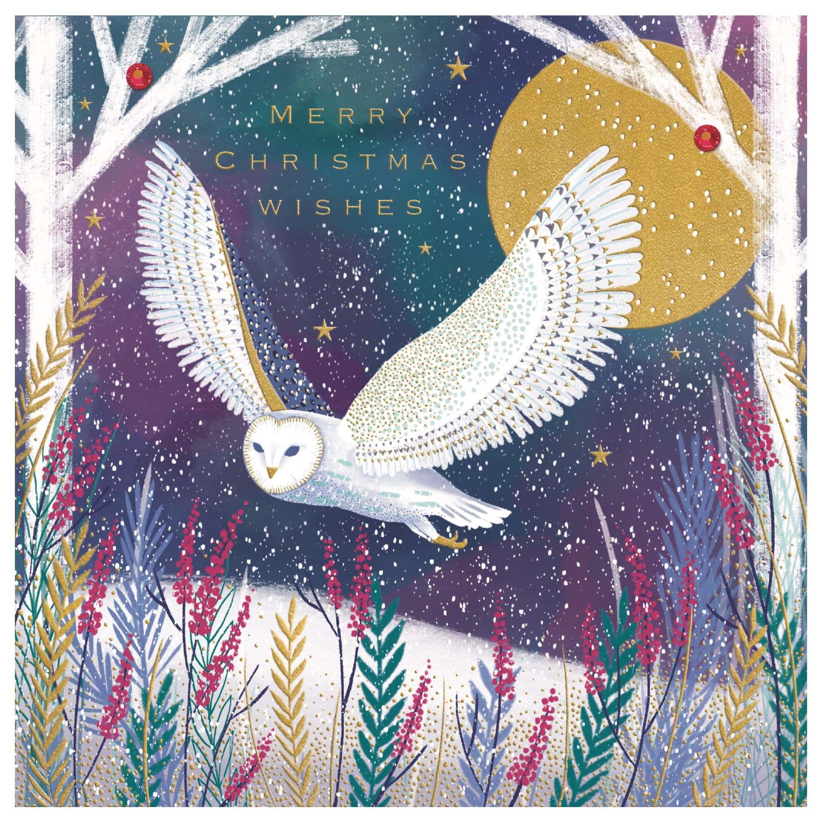 Snowy Owl Christmas Card