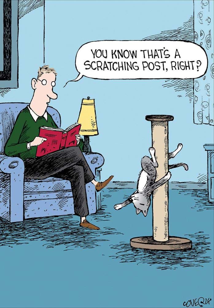 Scratching Post Greeting Card