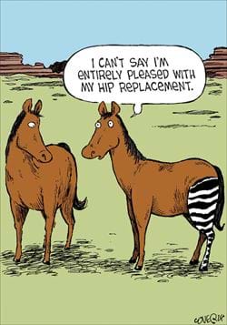 Hip Replacement Greeting Card