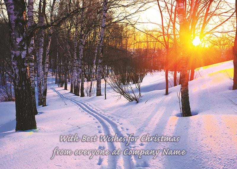Between the Trees - Front Personalised Christmas Card