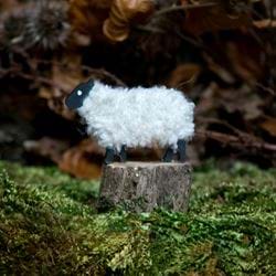 Woolly Ewe Fridge Magnet