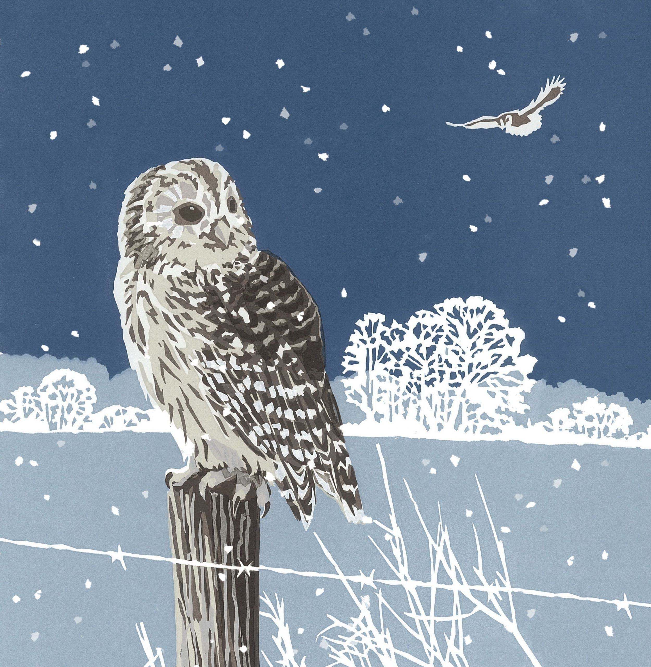 Winter Tawnies Christmas Cards - Pack of 5