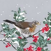 Fieldfare and Holly Christmas Cards - Pack of 5