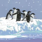 Snowy Adelies Christmas Cards - Pack of 5