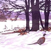 First Light Christmas Cards - Pack of 5