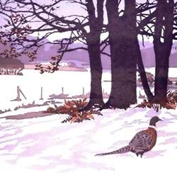 First Light Christmas Cards - Pack of 5