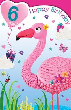 Flamingo 6th Birthday Card