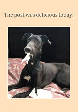 Delicious Post Greeting Card