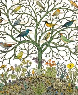 Birds of Many Climes Greeting Card